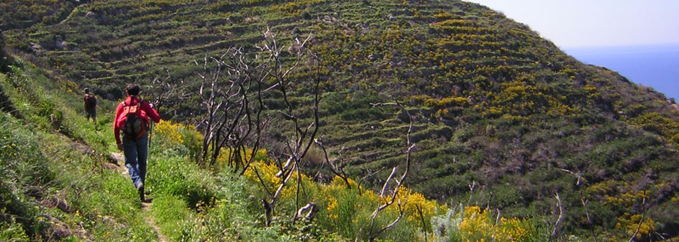 Escursione nel Parco Regionale Riviera di Ulisse